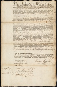 Ann Killeron indentured to apprentice with William Sheppard of Boston