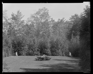Groton Place: landscape