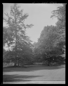 Groton Place: balustrade landscape