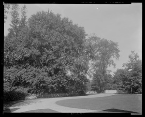 Groton Place: balustrade landscape