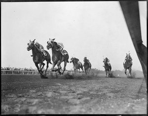 Horse race