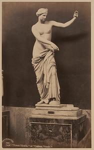 Venus Callipyge - Wikidata