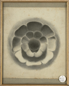 Drawing by N. R. Molin
