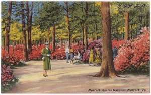 Norfolk Azalea Gardens, Norfolk, Va